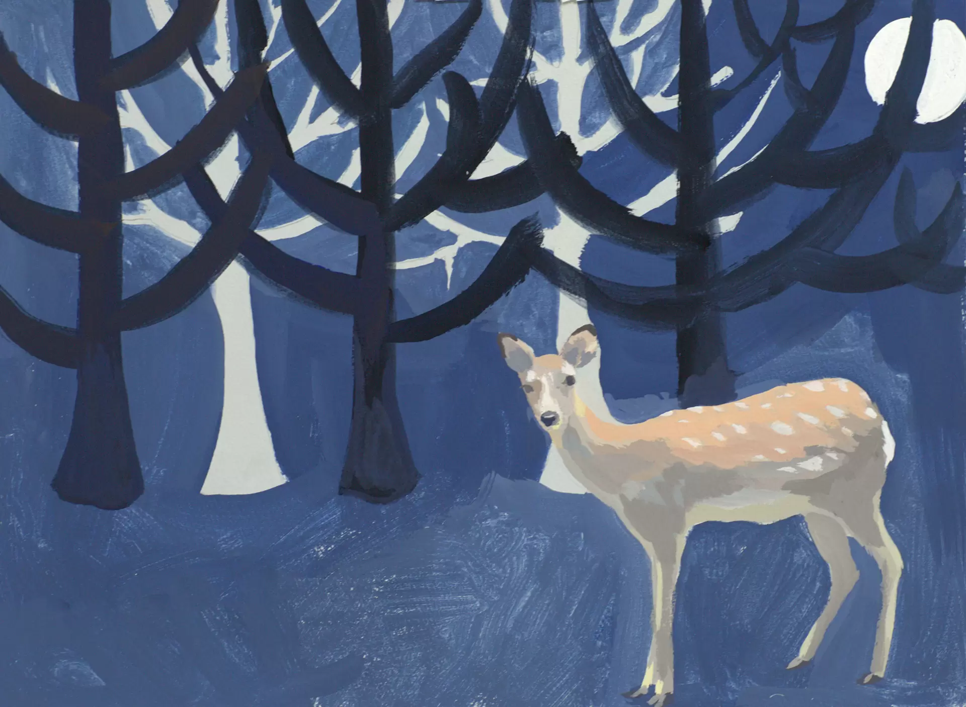 黒坂 麻衣「My little Creatures」 | ArtSticker