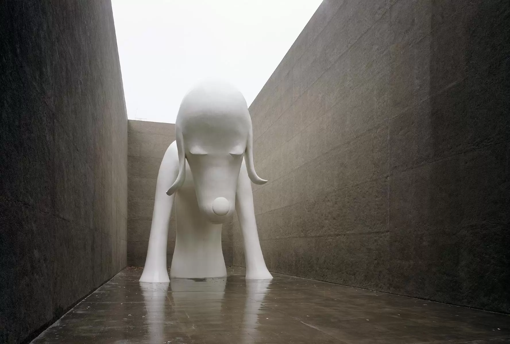 あおもり犬 by 奈良 美智 | 現代アートの販売・通販 | ArtSticker