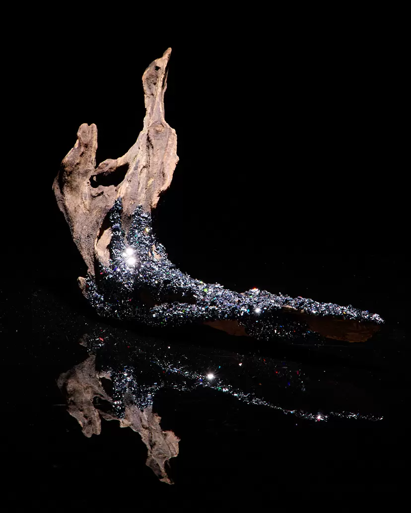 淵上 直斗 Naoto Fuchigami のアート作品 | 現代アートの販売・通販