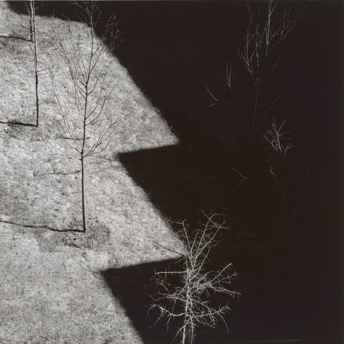 Harry Callahan | National Gallery of Art