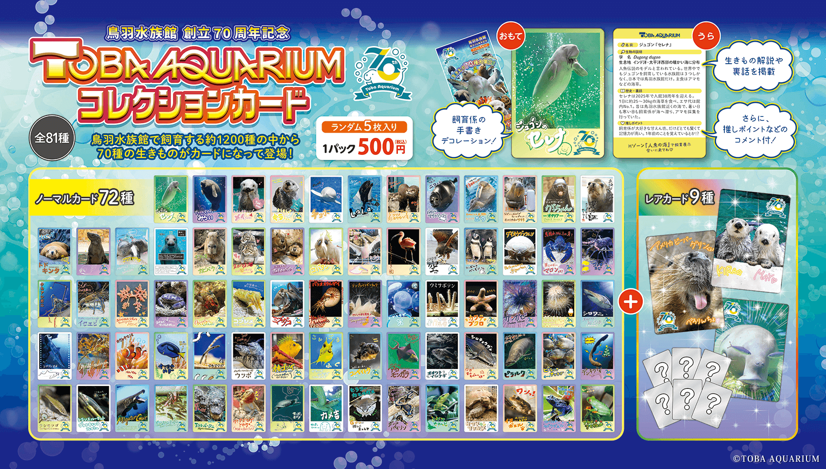 TOBA AQUARIUMコレクションカード」販売決定！ | 鳥羽水族館 公式サイト