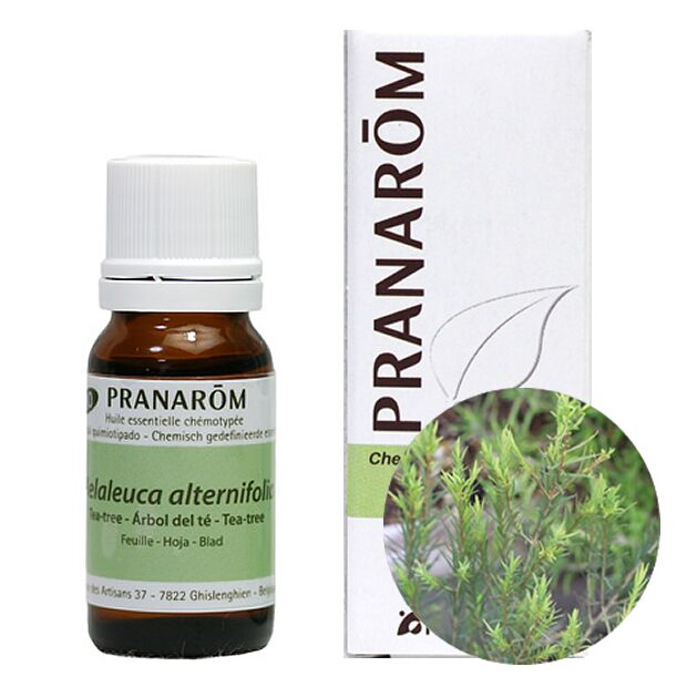 プラナロム ティートゥリー｜アロマ×アロマ