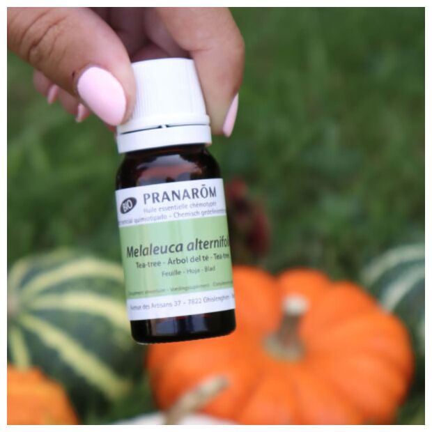 プラナロム ティートゥリー｜アロマ×アロマ