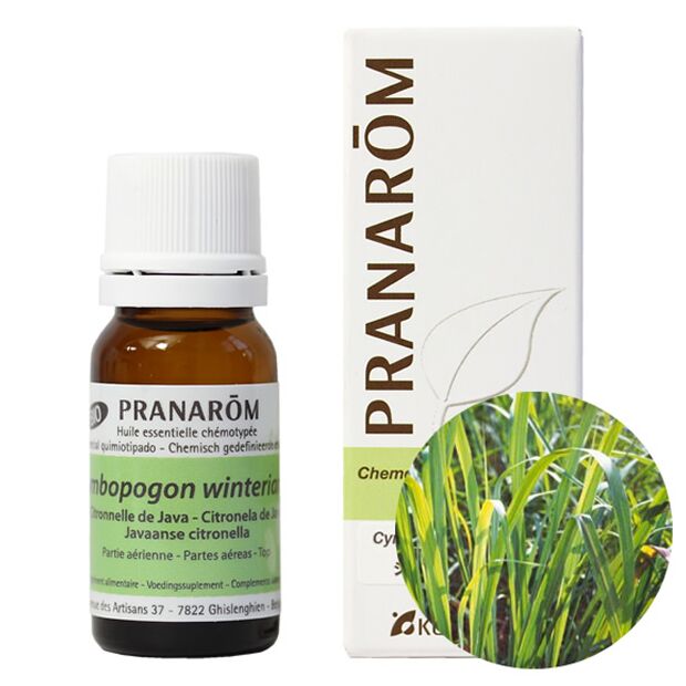 プラナロム シトロネラ ジャワ｜アロマ×アロマ