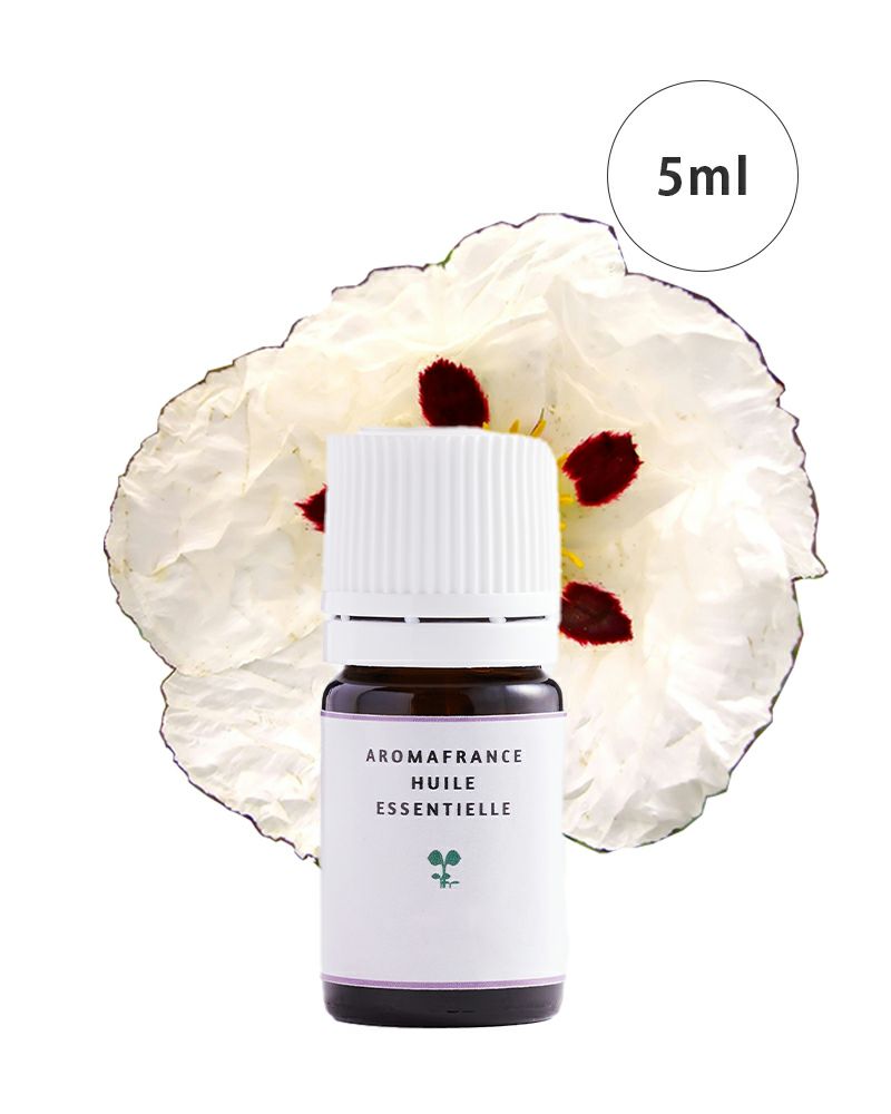 精油 ロックローズ 5ml | アロマフランス 公式オンラインストア
