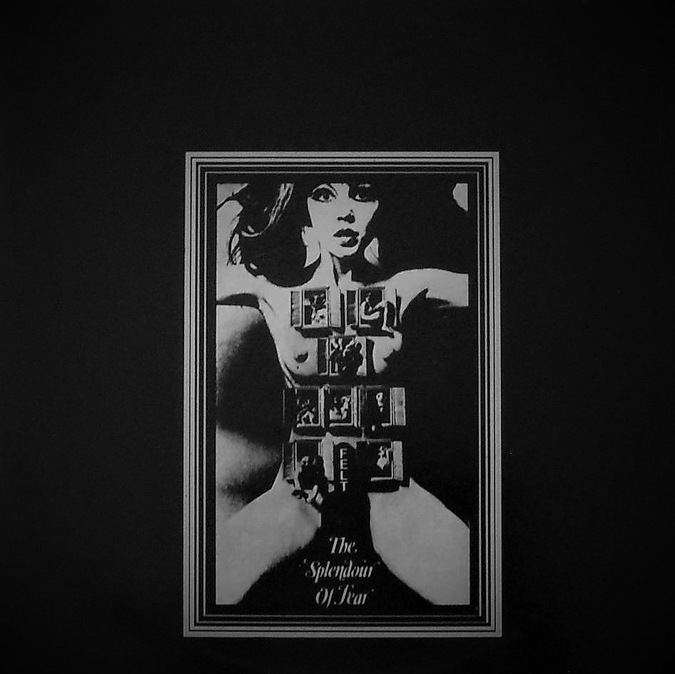 Felt – 'The Splendour Of Fear' (Cherry Red, 1984) – Arcane Delights