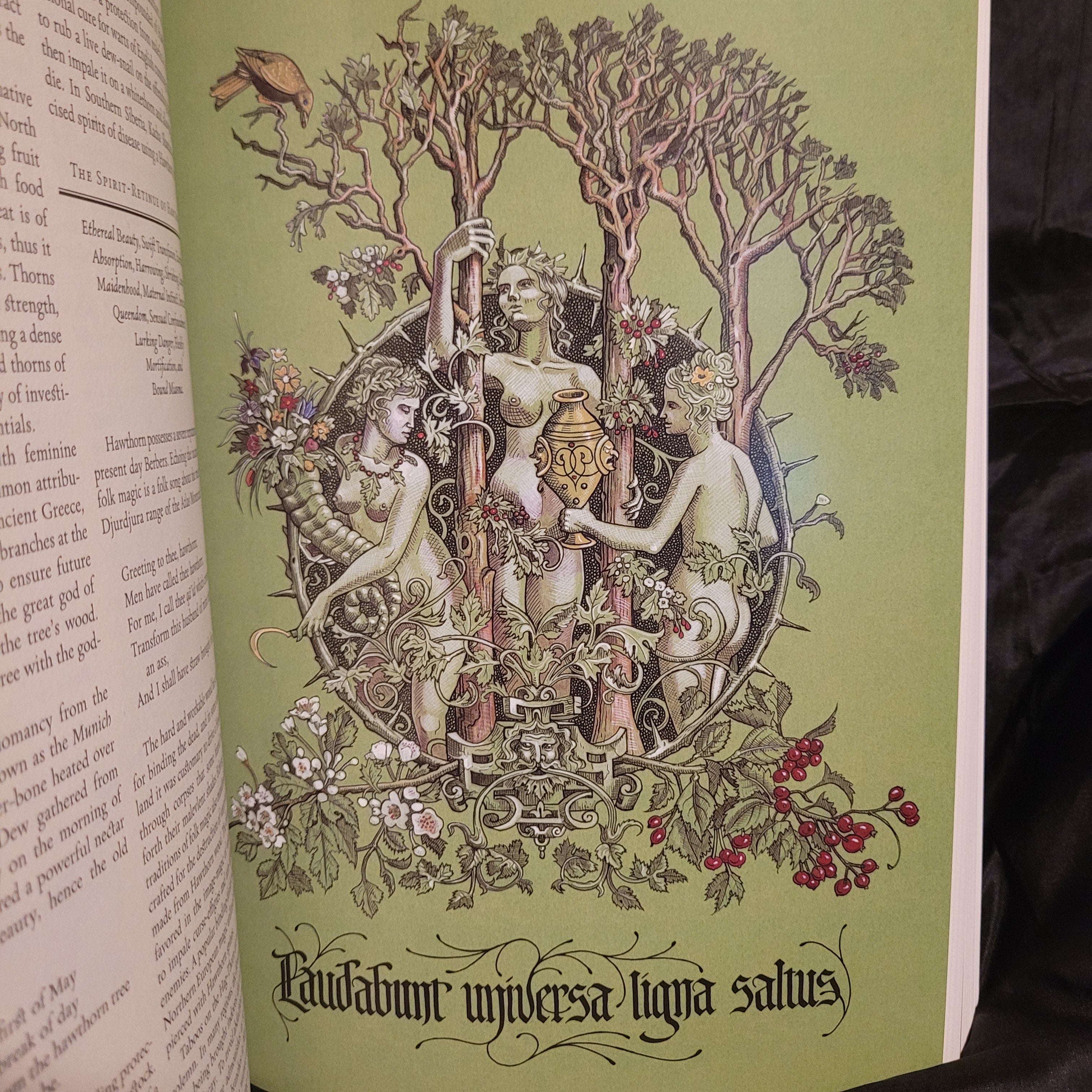 The Green Mysteries: An Occult Herbarium by Daniel A. Schulke with