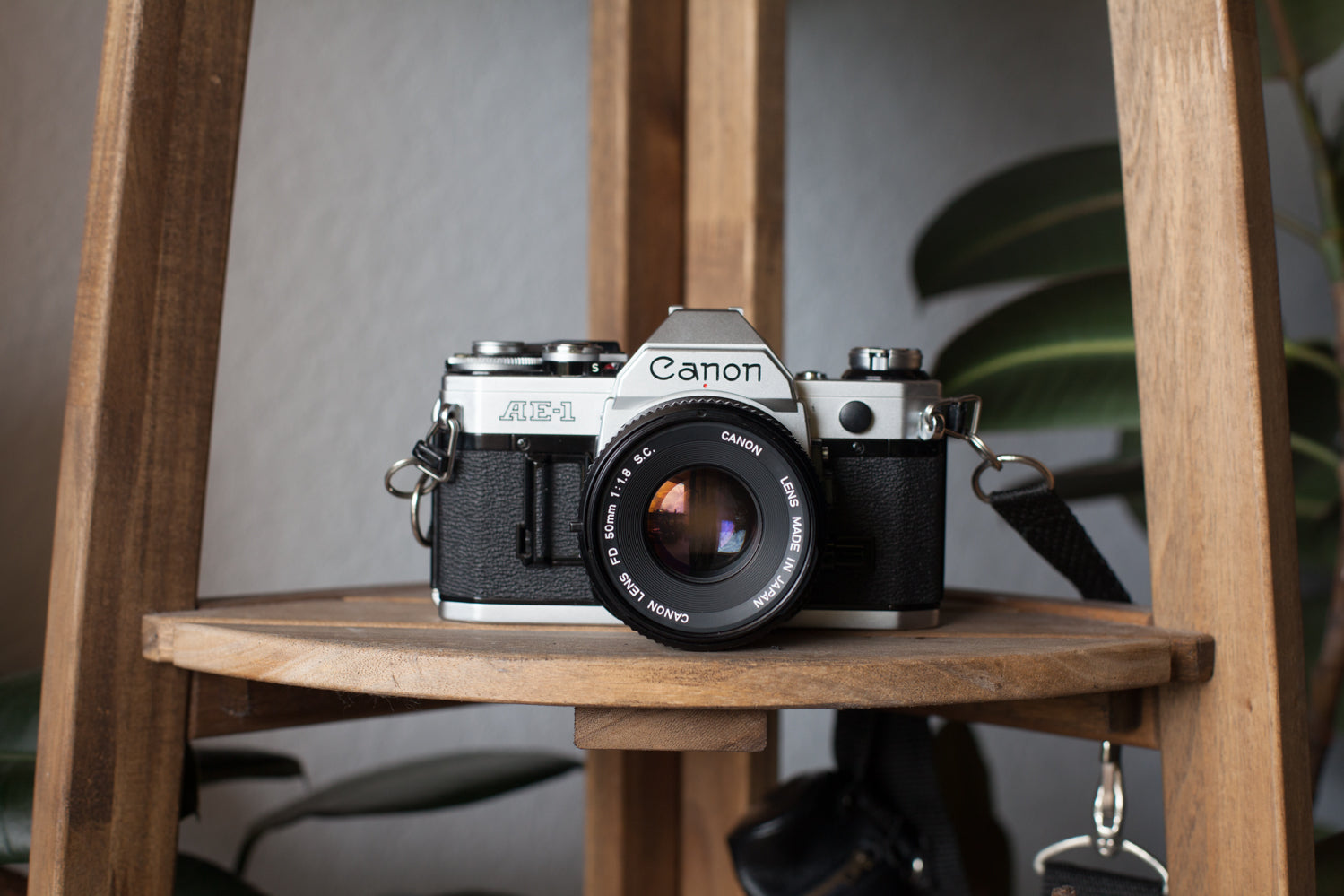 Canon AE-1 Program - Arcane Supply Co.