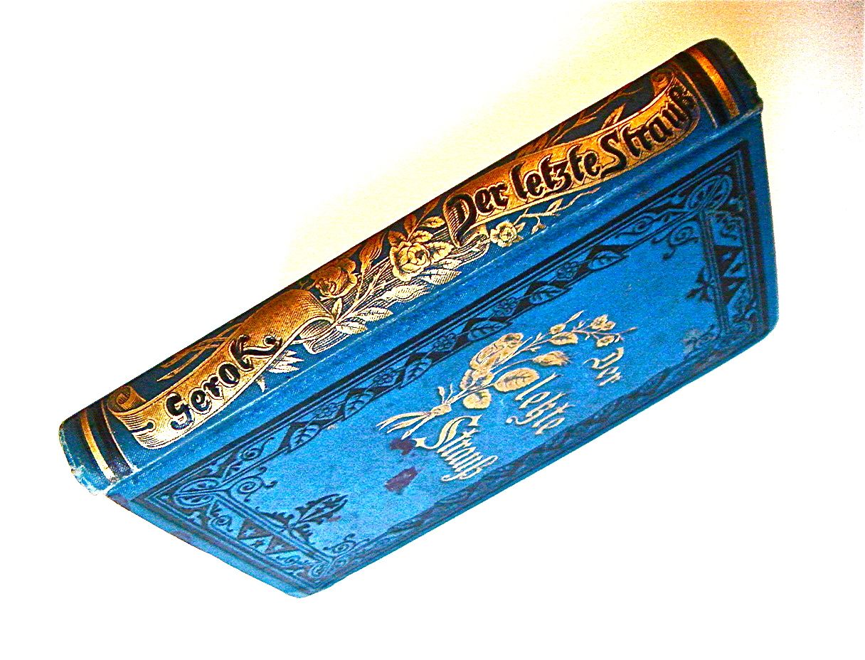 ドイツ 古書 アンティーク 勿忘草のメモリアルブック 青 洋書 希少