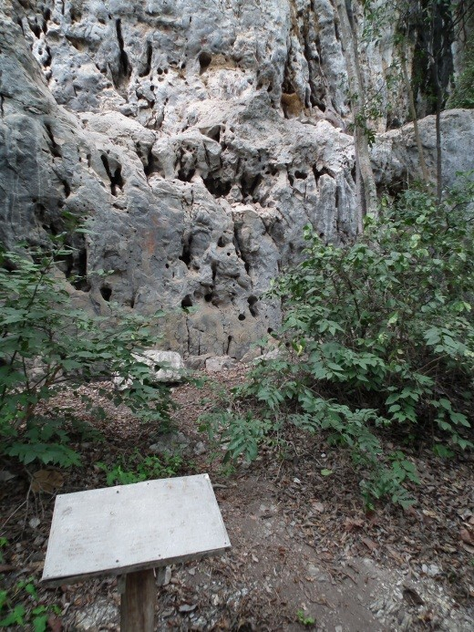 ภาพเขียนสีค่ายประตูผา | ฐานข้อมูลแหล่งโบราณคดีที่สำคัญในประเทศไทย