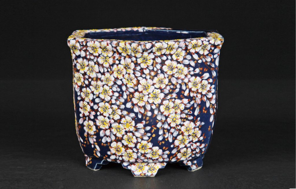 5.渋草柳造窯、最新の盆器作品！│盆栽、盆栽書籍、盆栽鉢の通販│近代出版