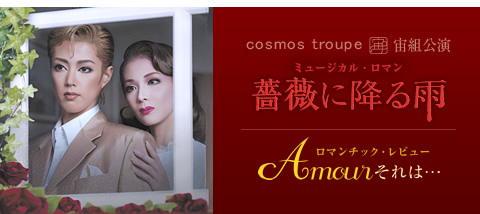 薔薇に降る雨』『Amour それは・・・』 | 宙組 | 宝塚大劇場 | 宝塚