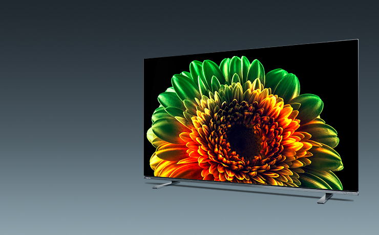 TOSHIBA 東芝 REGZA 55X8400 有機ELテレビ 55インチ 楽天市場】55x8400