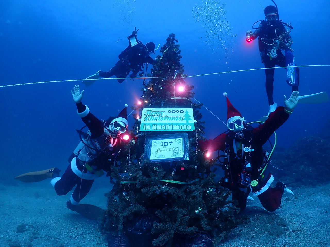 クリスマスツリー設置！！ | ARK Diving Shop 串本店