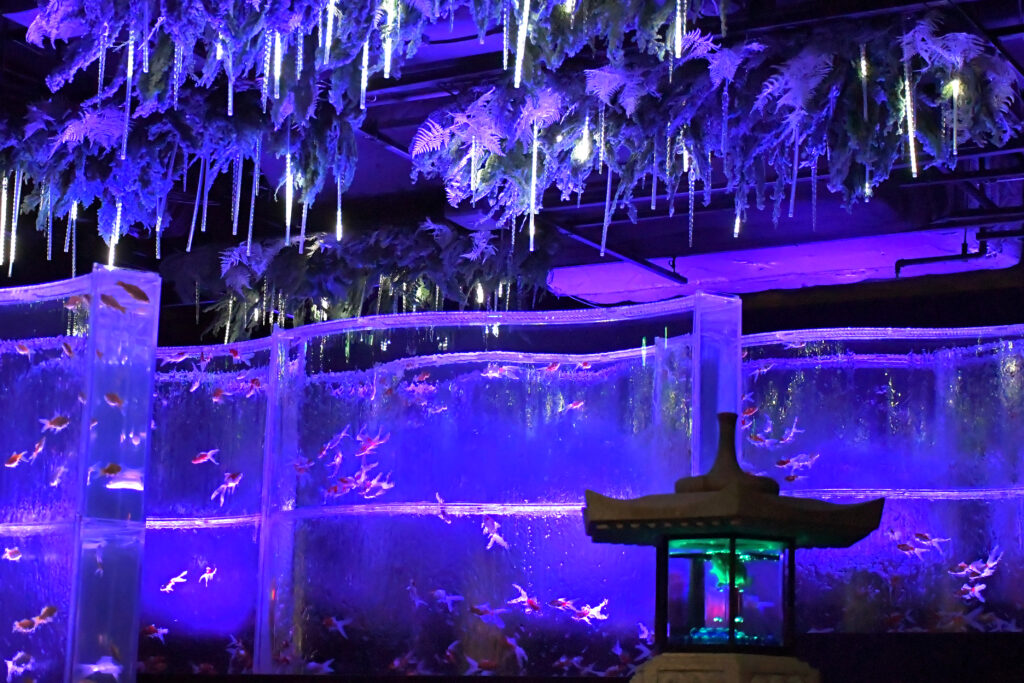 癒しと輝きのときめきを。金魚アート×イルミネーションの幻想的な