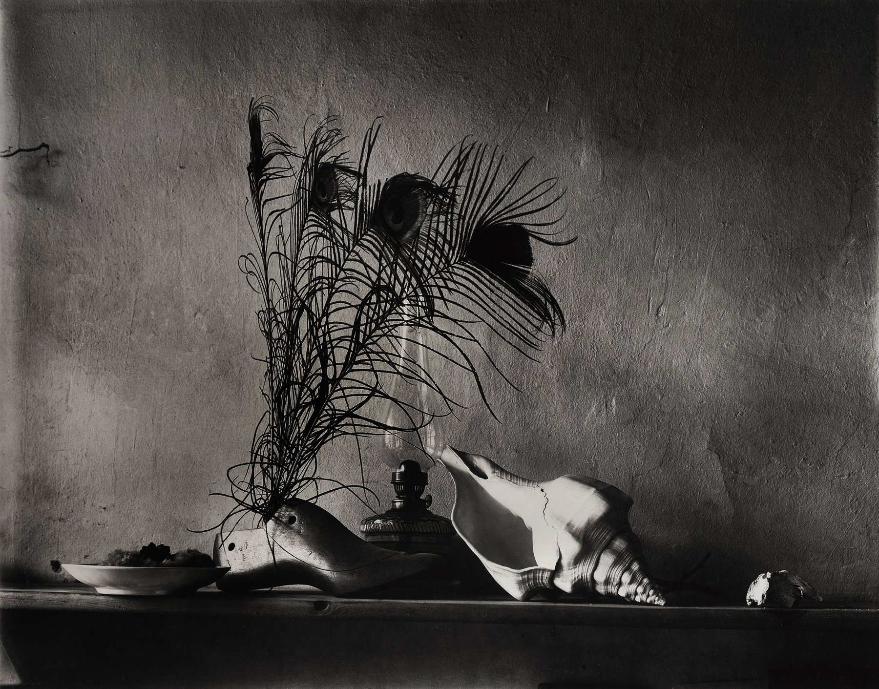 Josef Sudek: Master of Photography