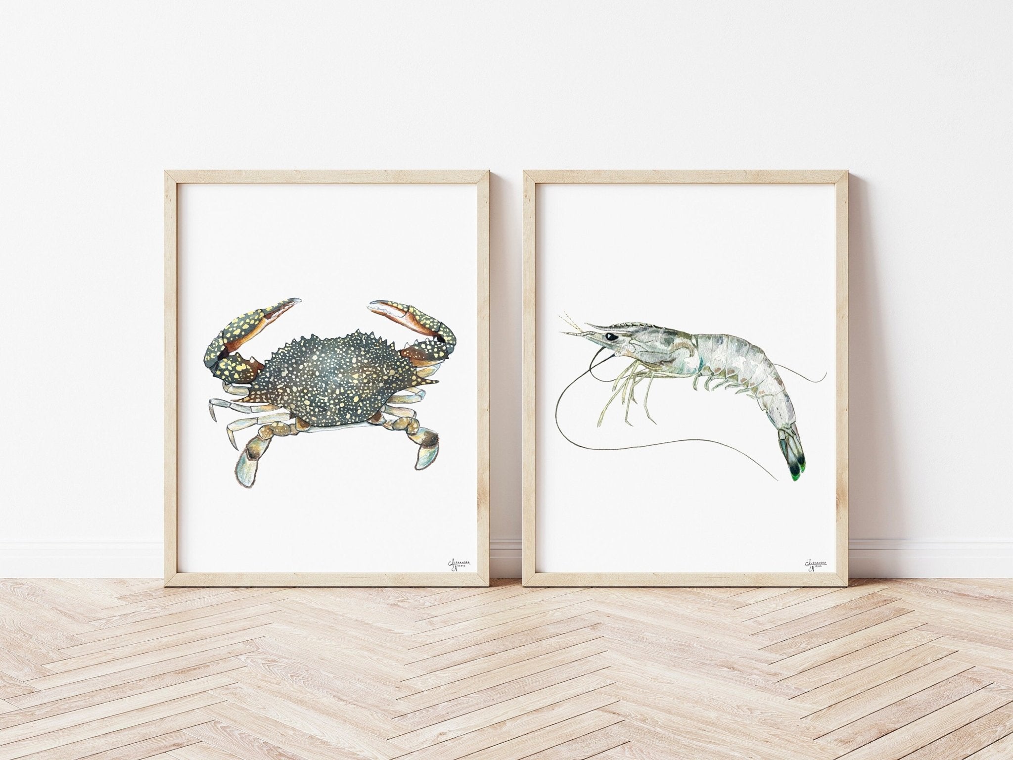 Shrimp and Crab Art Prints by Coastal Artist Alexandra Nicole