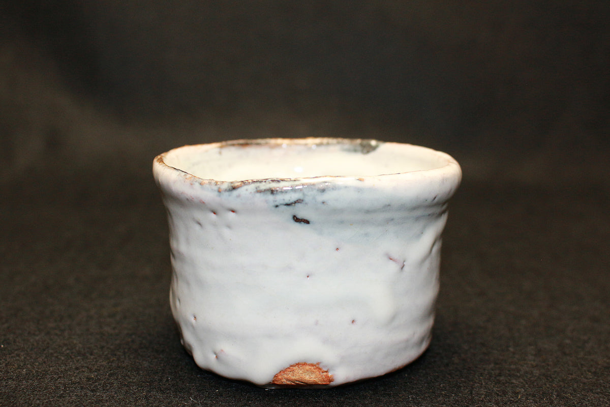 三輪寿雪[11代休雪] – アート飛田