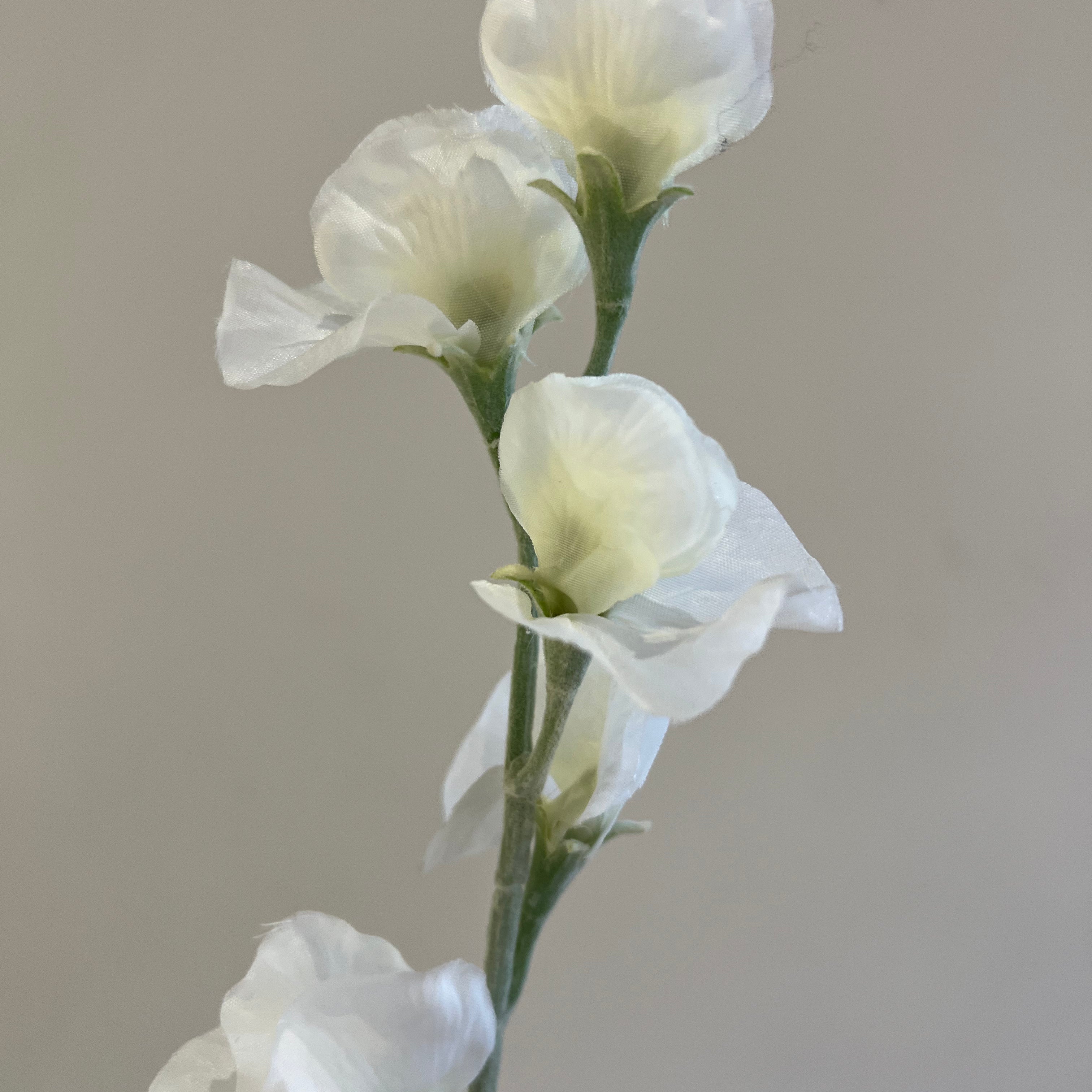 スイートピー ホワイト – Artificial Flowers kiki