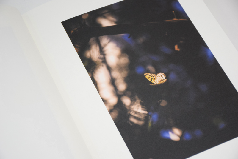 KANON / 山上新平 ON READING Online Shop