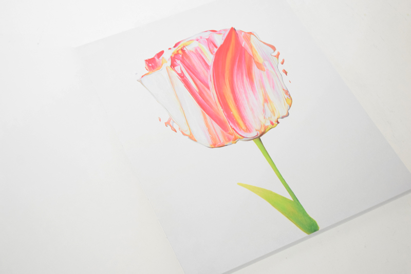 FLOWERS / 武田鉄平 / ON READING Online Shop