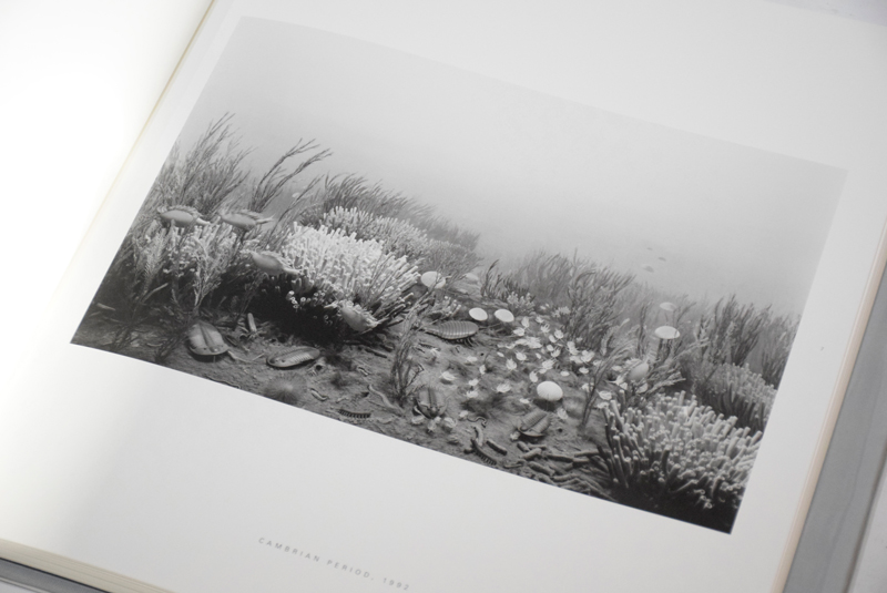 Dioramas / 杉本博司 Hiroshi Sugimoto ON READING Online Shop