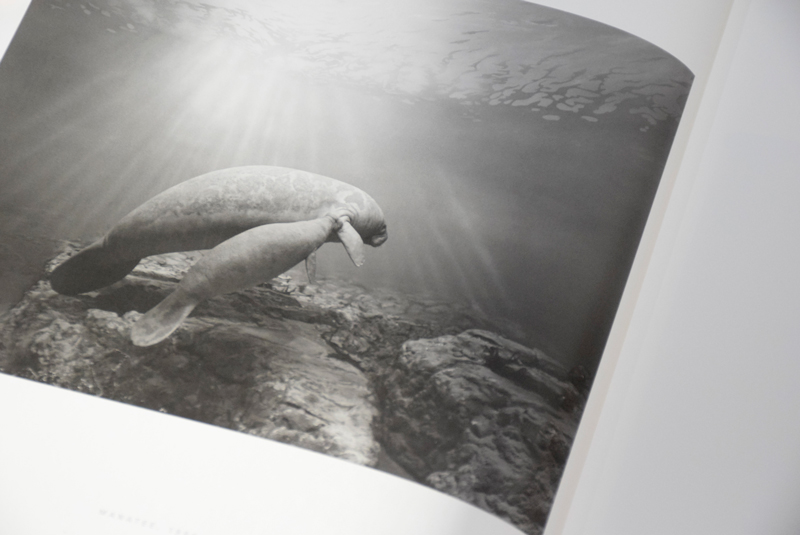 Dioramas / 杉本博司 Hiroshi Sugimoto ON READING Online Shop