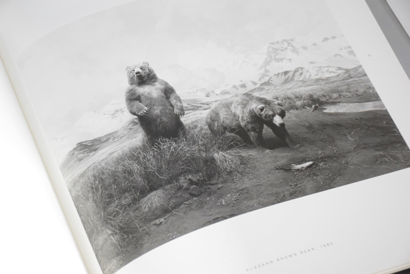 Dioramas / 杉本博司 Hiroshi Sugimoto ON READING Online Shop