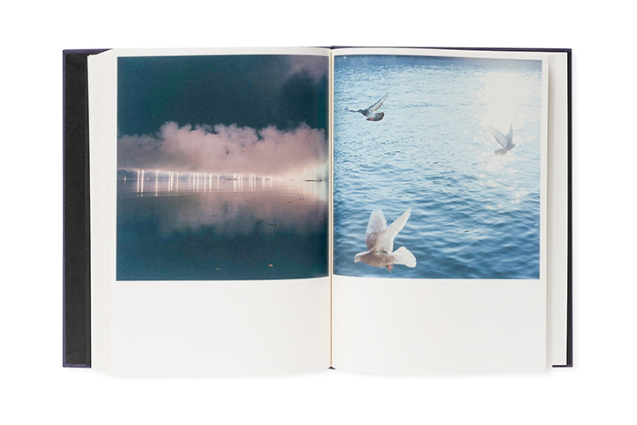 Illuminance: The Tenth Anniversary Edition / 川内倫子 RINKO