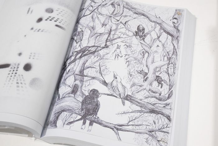 Sketches for Music / 坂本慎太郎 ON READING Online Shop