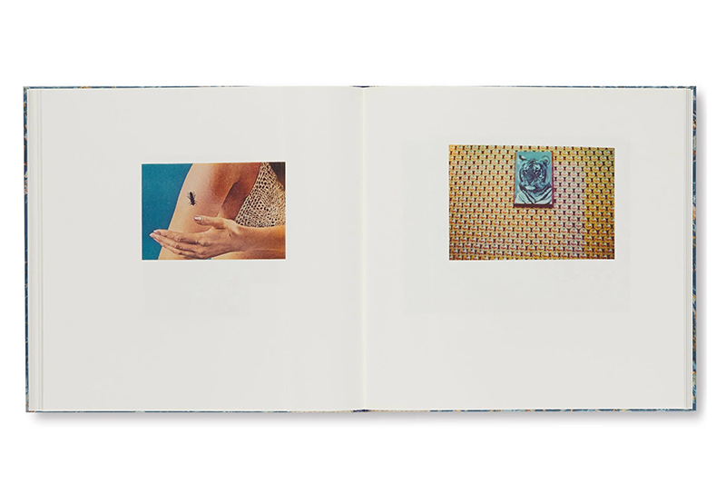 CARDBOARD LANDSCAPES / Luigi Ghirri ON READING Online Shop