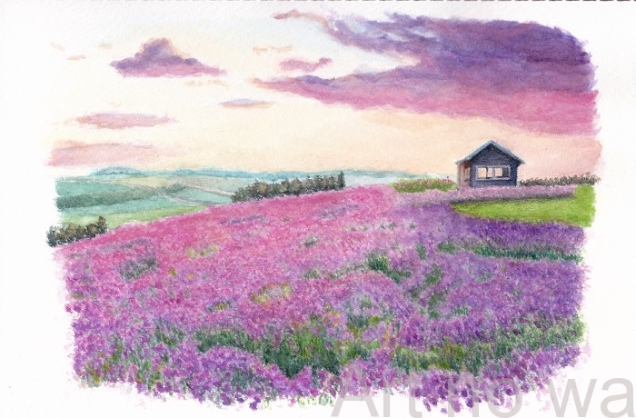 ラベンダー畑 | アートの輪