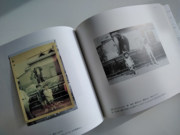 イメージを（ひっ）くりかえす──記録集『はな子のいる風景