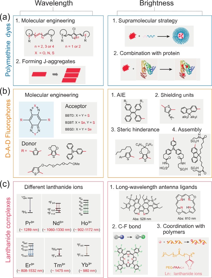 In vivo NIR-II fluorescence imaging based on microscopy set-ups