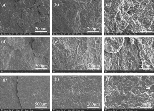 Initiation and propagation of small fatigue cracks in shales