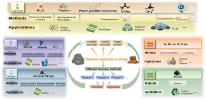 A holistic valorization of treasured waste activated sludge for