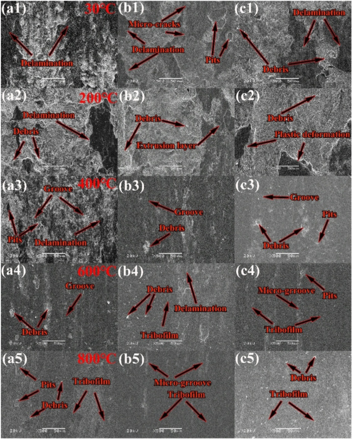 Investigation of microstructure and tribological characteristics