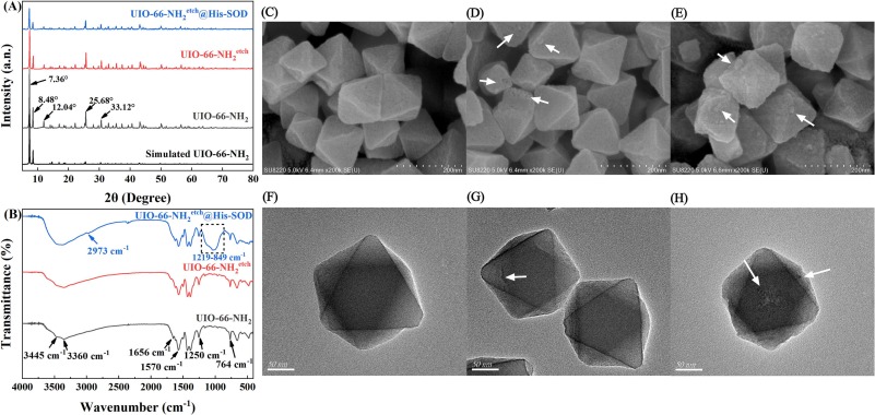 Coordination-driven immobilization of his-tagged superoxide
