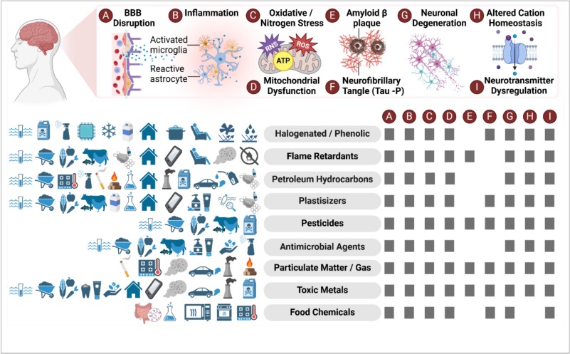 Metabolome informs about the chemical exposome and links to brain