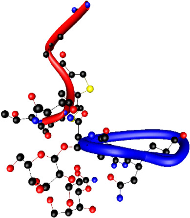 Phleomycin complex – Coordination mode and in vitro cleavage of