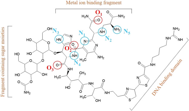 Phleomycin complex – Coordination mode and in vitro cleavage of
