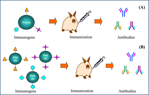 Immunochemical techniques for multianalyte analysis of chemical