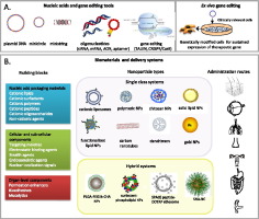 Non-viral gene therapy: Gains and challenges of non-invasive