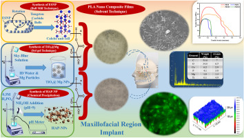 健康・医学 BIOCERAM POROUS IMPLANT The use of porous alumina