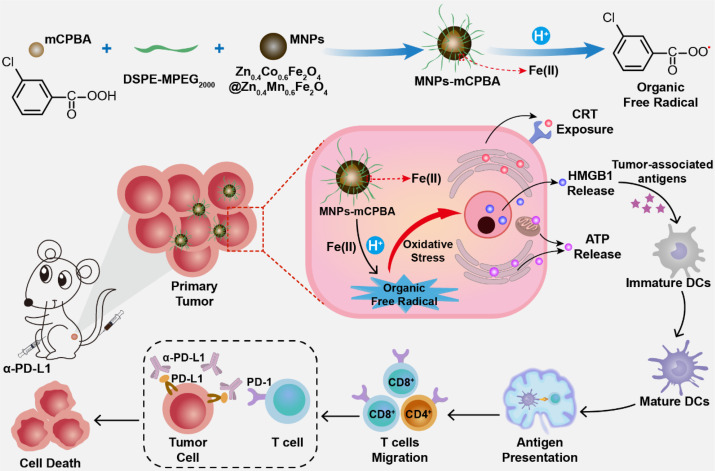 An organic free radical generator independent on hydrogen peroxide