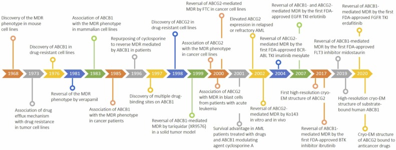 Perspectives on drug repurposing to overcome cancer multidrug