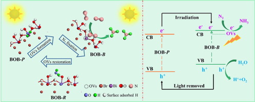 Light-Switchable Oxygen Vacancies Enhanced Nitrogen Fixation