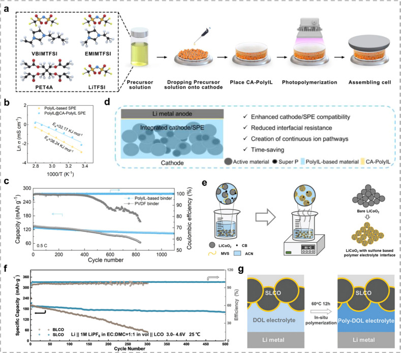 Polymer electrolyte-mediated interfacial chemistry for high