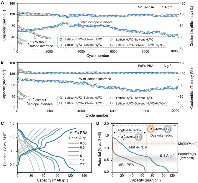 Isotope interface design for high-energy aqueous proton batteries