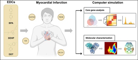 Mechanisms of three typical endocrine-disrupting chemicals causing